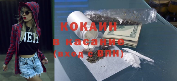 прущие грибы Надым
