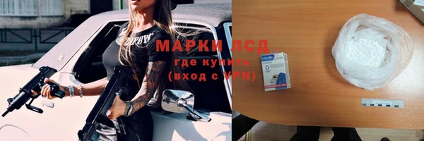 прущие грибы Надым