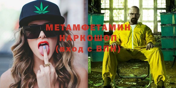 прущие грибы Надым