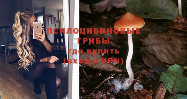 прущие грибы Надым