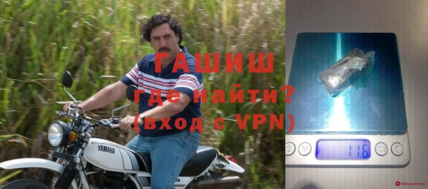 прущие грибы Надым