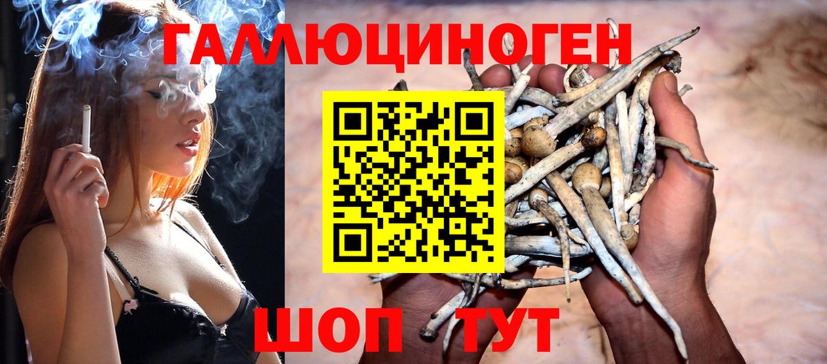 Псилоцибиновые грибы прущие грибы Лесозаводск
