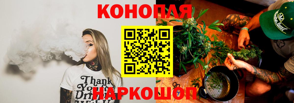 Бошки Шишки OG Kush  Бошки марихуана семена  Лесозаводск 